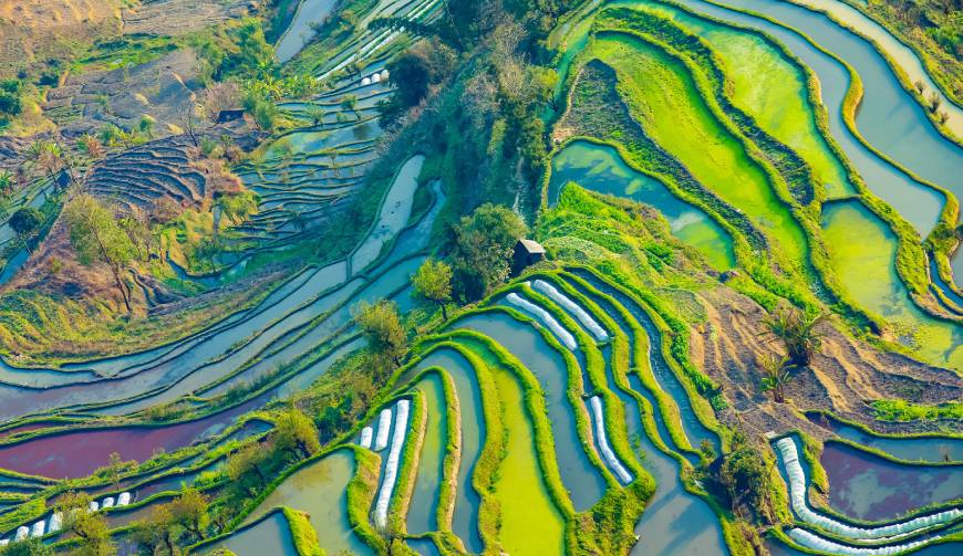 宝妈必备神器：桂平市产品视频拍摄轻松育儿好帮手