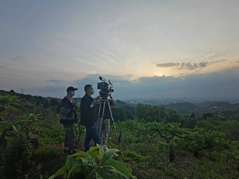 创意破圈！桂平市电商产品宣传视频用故事化叙事引爆流量