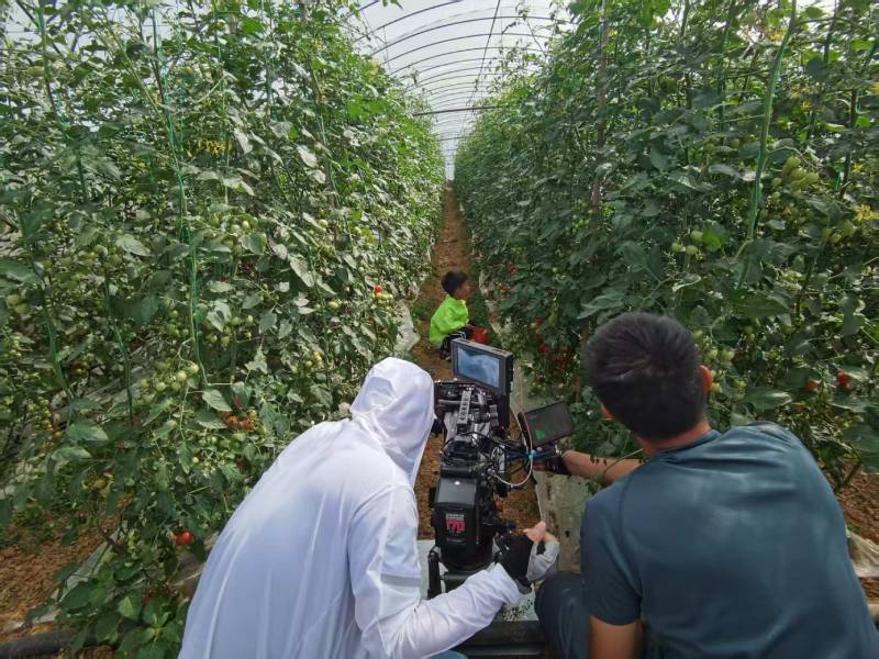 桂平市产品宣传视频拍摄公司进阶指南，助力品牌抢占传播高地